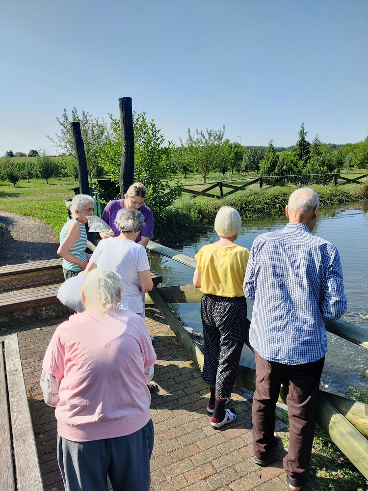 Senecura dom za starije