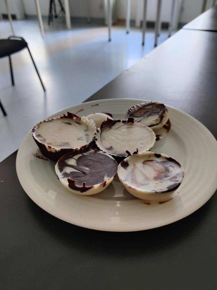 Senecura dom za starije