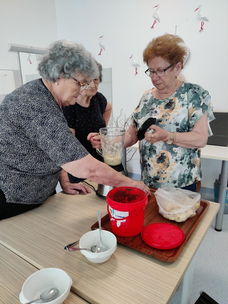 Senecura dom za starije