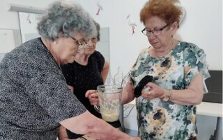 Senecura dom za starije