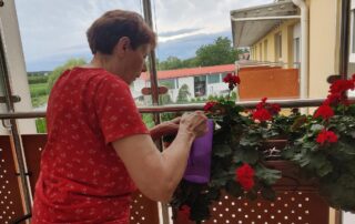 Senecura dom za starije