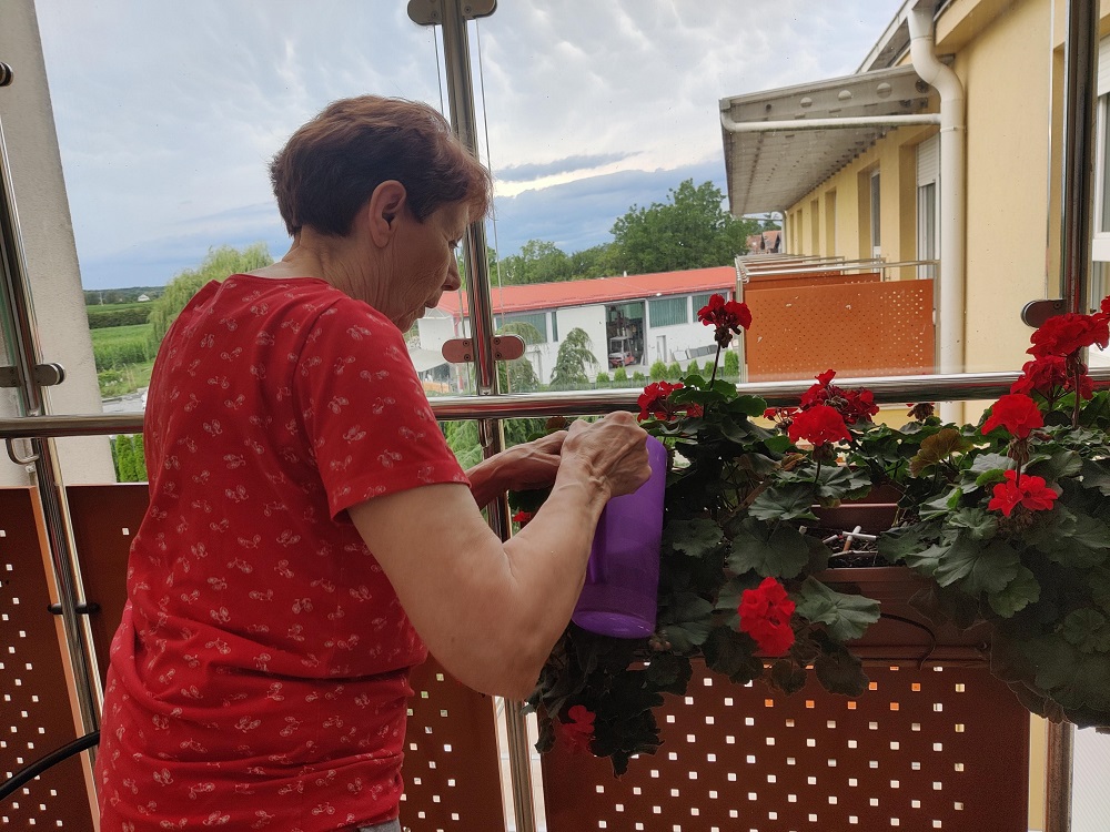 Senecura dom za starije