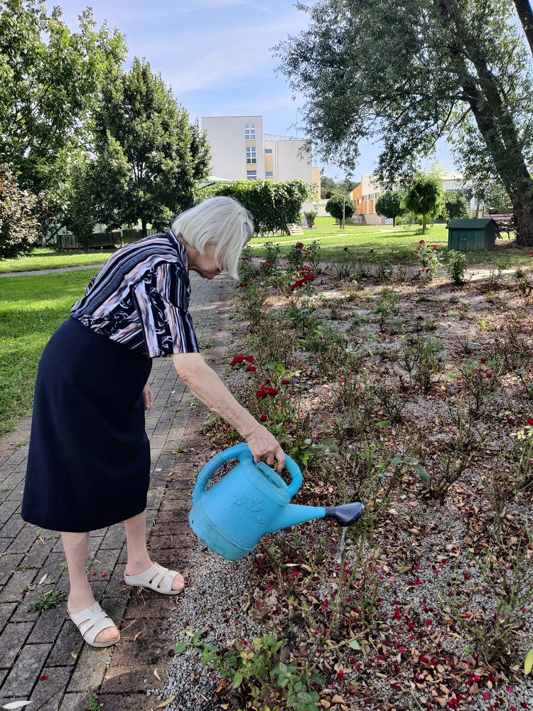 Senecura dom za starije