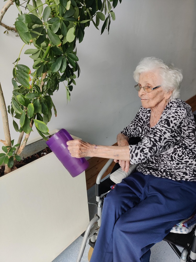 Senecura dom za starije