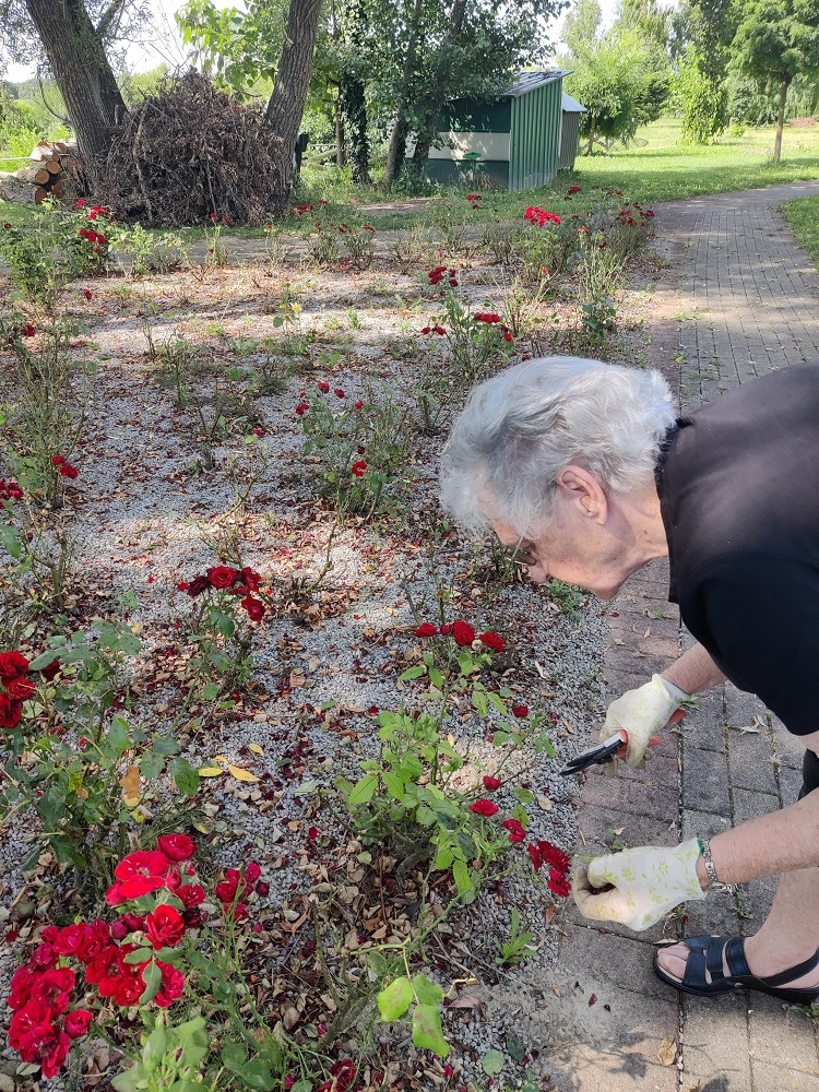 Senecura dom za starije