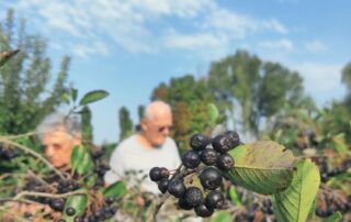 SeneCura dom za starije