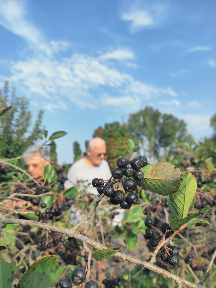 SeneCura dom za starije