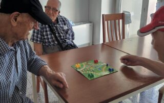 Senecura dom za starije