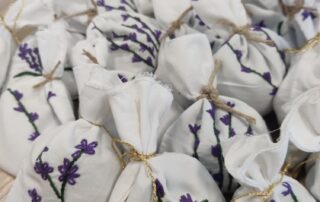 Senecura dom za starije