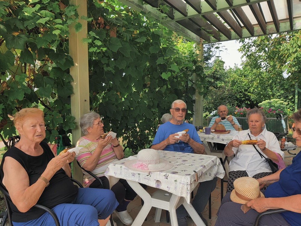 Senecura dom za starije