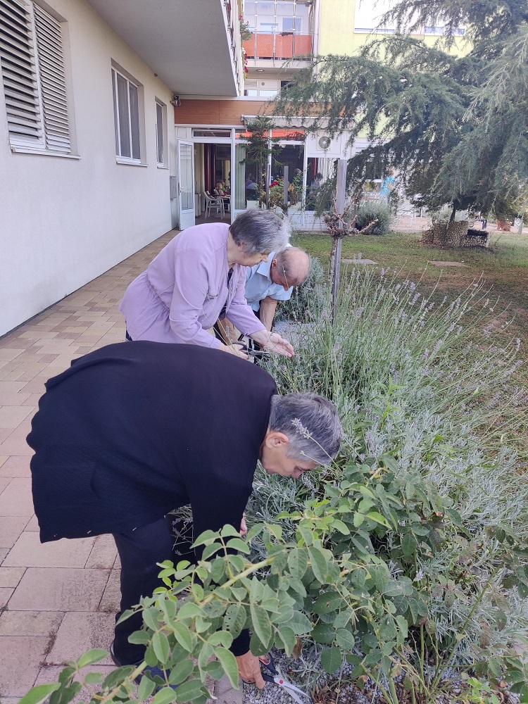 Senecura dom za starije