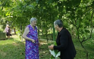 Senecura dom za starije