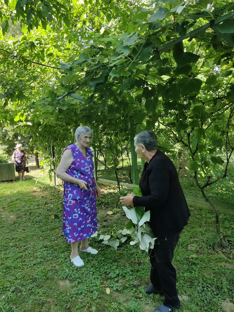 Senecura dom za starije