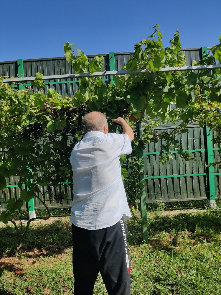 Senecura dom za starije