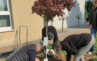 SeneCura dom za starije