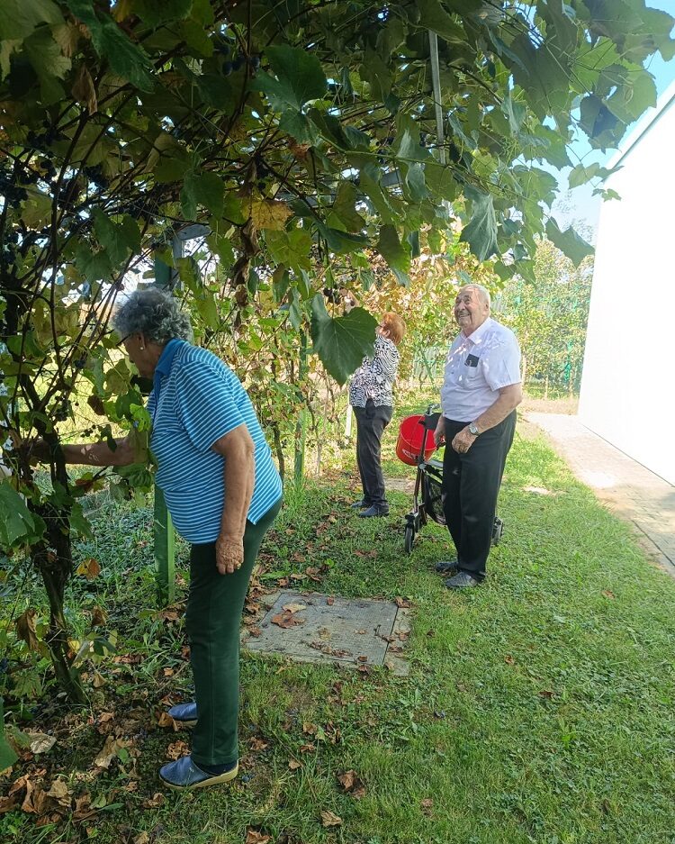 SeneCura dom za starije