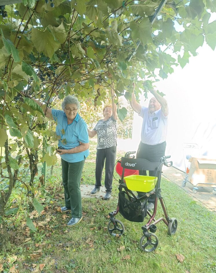 SeneCura dom za starije