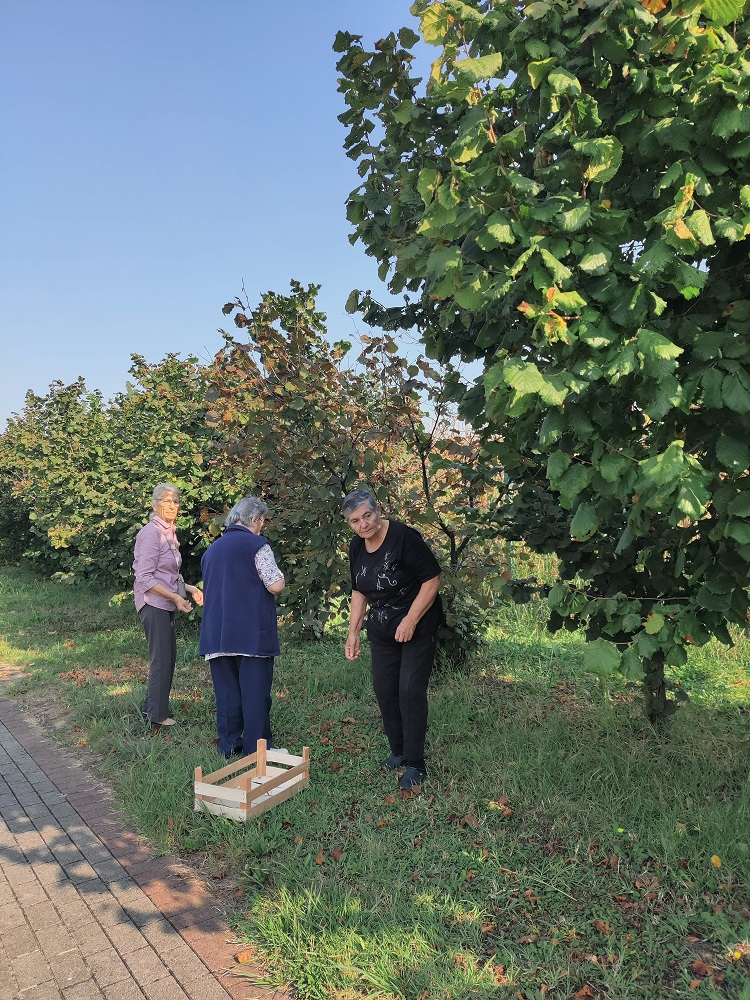 SeneCura dom za starije