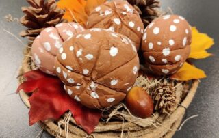 SeneCura dom za starije