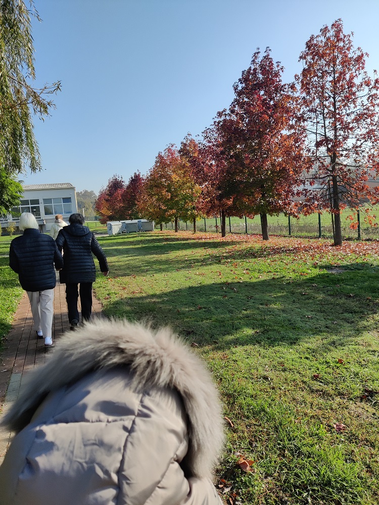 SeneCura dom za starije