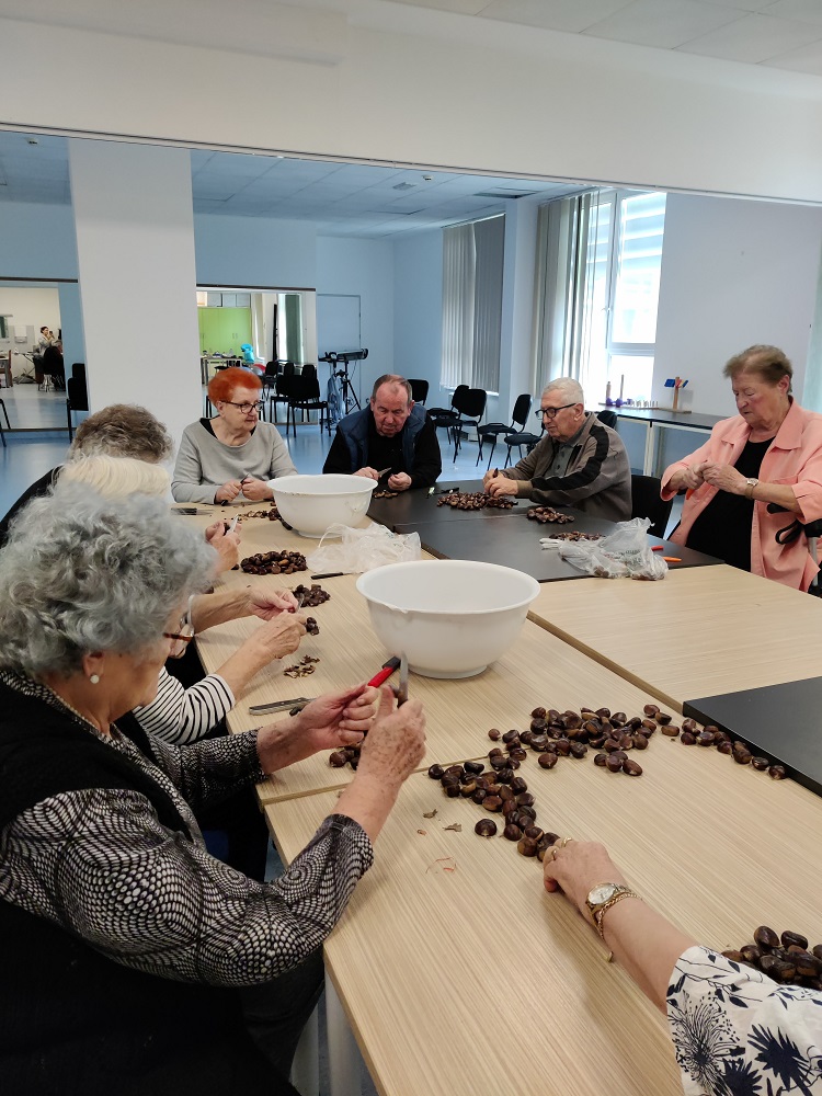 SeneCura dom za starije