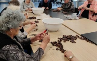 SeneCura dom za starije