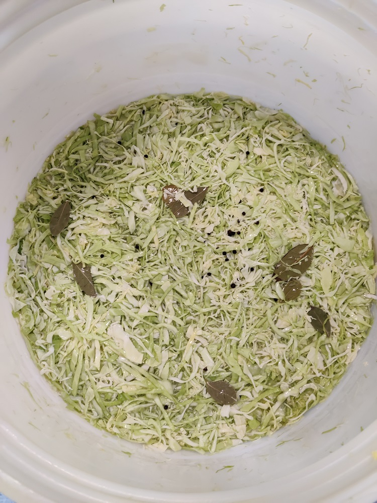 SeneCura dom za starije