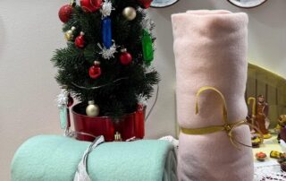 SeneCura dom za starije