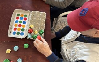 SeneCura dom za starije