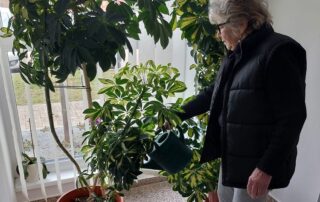 SeneCura dom za starije