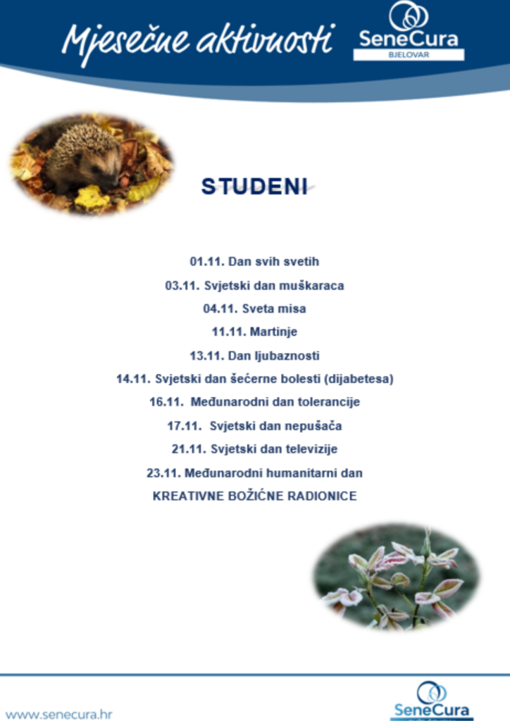 mjesečni plan aktivnosti studeni