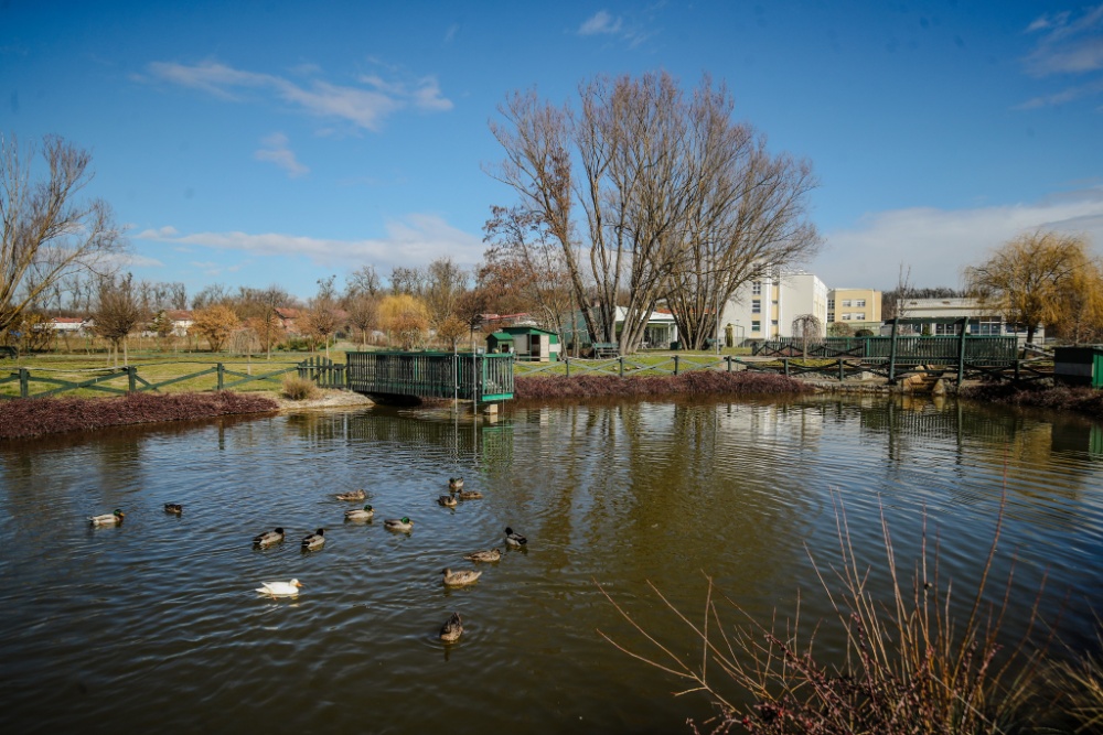 Bjelovar_smjestaj_2022_15